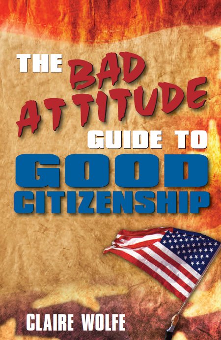 The Bad Attitude Guide to Good Citizenship