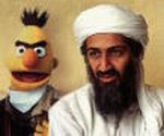 Bin Laden and Bert