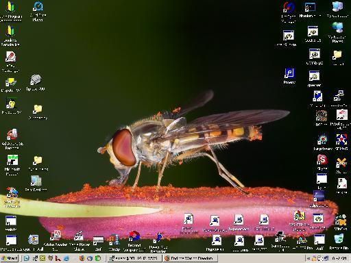 My Desktop