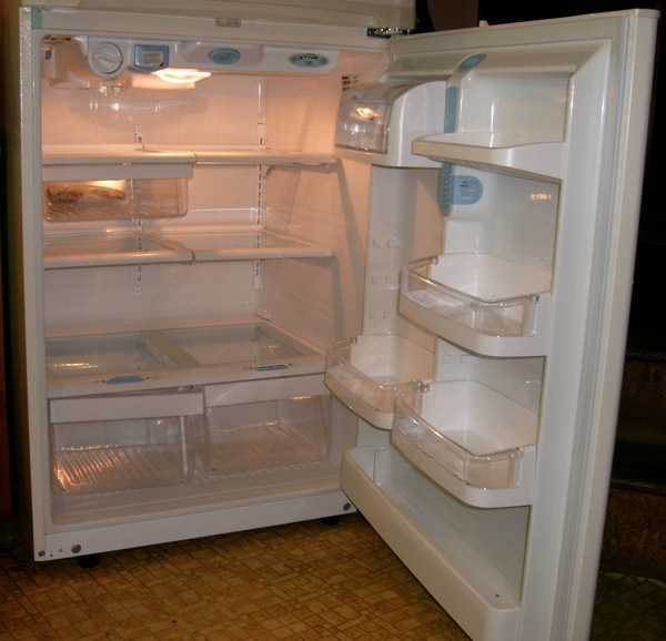 Kenmore Refrigerator inside the frig