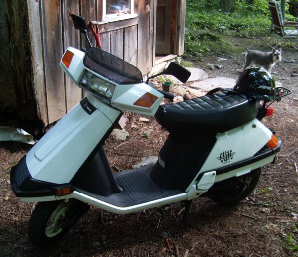 Honda CH80 Elite Moped