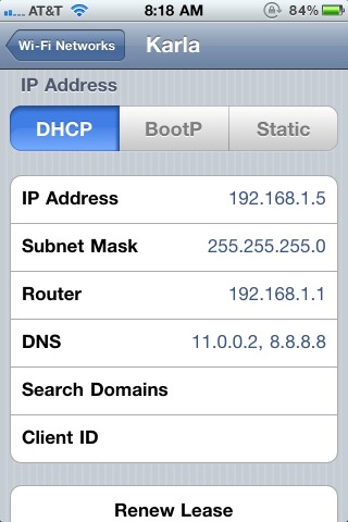 iPhone Wifi DNS Configuration