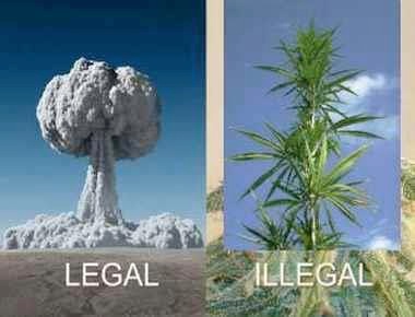 Legal vs. Illegal
