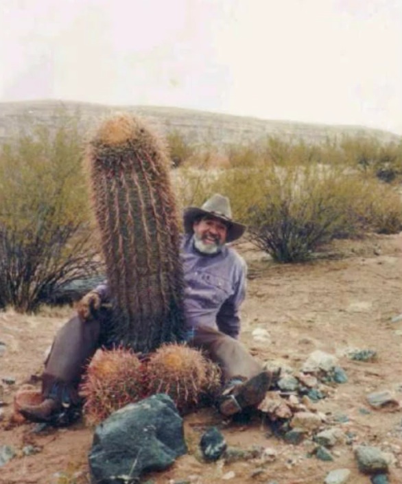 Texas Cactus