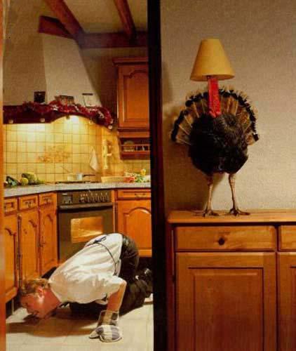 Turkey Hides